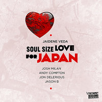 Soul Size Love - Jaidene Veda