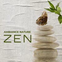 Bonne énergie - Exercices à Zen Musique Douce