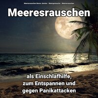 Strandgeräusche für Autogenes Training - Meeresrauschen & Naturgeräusche & Meeresrauschen Benno Jänicke