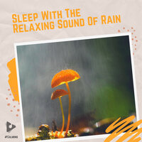Rain Day Fun - #Calming & Rain Sound Studio