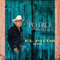 El Picos - El Potro De Sinaloa