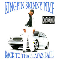 Shut Em Down - Kingpin Skinny Pimp