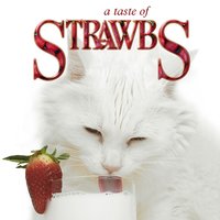 Sunday Morning - Strawbs