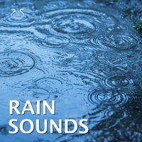 Rain Birds - Calming Rain Sounds and a Summer Feeling - Rain Relaxation TA & Torsten Abrolat & Nature Relaxation TA