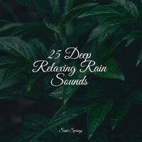 Umbrella Rain - Zen Meditate & White Noise Relaxation & Rain Sounds Nature Collection