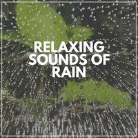 Fall Rain, Pt. 3 - Rain for Deep Sleep