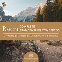 Brandenburg Concerto No. 3 in G Major, BWV 1048: I. Allegro - Orchestra da Camera del Conservatorio di Mantova & Johann Sebastian Bach & Luca Bertazzi