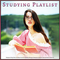 Background Guitar Study Music - Studying Playlist & Alpha Waves Concentration & Studying Music