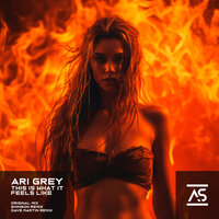 This Is What It Feels Like - Ari Grey & Shinson