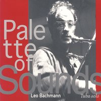 Missing Echo - Leo Bachmann