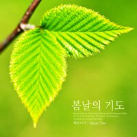 Springtime prayer - Veronica
