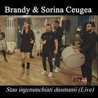Stau ingenunchiati dusmanii - Brandy & Sorina Ceugea