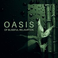 A New Day - Relaxing Spa Oasis