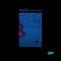 Storm Troopers - Rayko