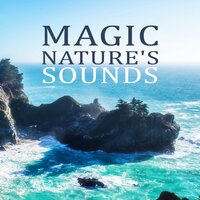 Sleep Deeply - Nature Music Sanctuary