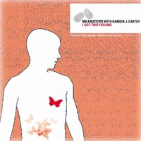 I Got This Feeling - Milk & Sugar