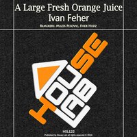 A Large Fresh Orange Juice - Ivan Feher & Milos Pesovic