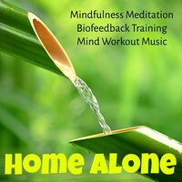 All is Illuminated - Deep Focus Academy