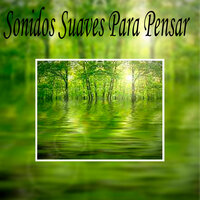 Relajar la Mente - Sonidos suaves