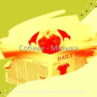 Созерцая (Щенки) - Оживленный Музыка для собак