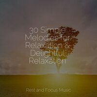 Winding Streams - Happy Baby Lullaby Collection & Study Power & Study Music & Sounds