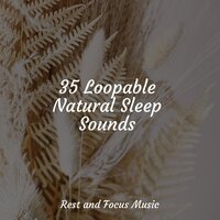 Sleep in the Stars - Yoga Namaste & Bath Spa Relaxing Music Zone & Sleep Meditation Dream Catcher