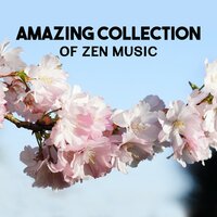 Stress Relief (Rain Forest) - Deep Meditation Academy