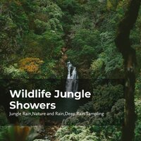 Puff of Fresh Air - Nature and Rain & Deep Rain Sampling & Jungle Rain