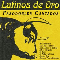 ¡ay! Mi Sombrero - Pepe Soto