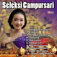 Bengawan Sore - Didi Kempot