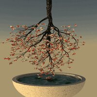Bonsai - Diablo