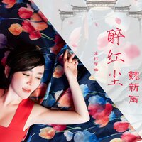 醉红尘 - 魏新雨 & 何鹏
