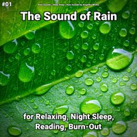 Falling Rain to Chill - Rain Sounds & Deep Sleep & Rain Sounds by Angelika Whitta