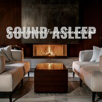 Grandeur Apartment Fireplace Sounds at Night, Pt. 10 - Elijah Wagner