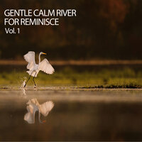 Jungle River - Massage Music Playlist & Kundalini & Deep Focus