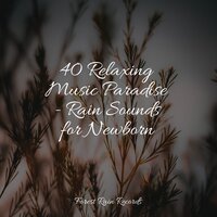 Beach, Far, Waves, Birds, Wind - Tranquil Music Sound Of Nature & Meditation Zen & Relaxation Sleep Meditation