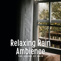 Stormy Weather - Rain Sounds & Nature Sounds & Meditation Rain Sounds & Gentle Rain Makers