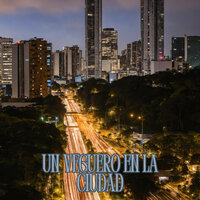 Un Veguero en la Ciudad - Los Andinenses