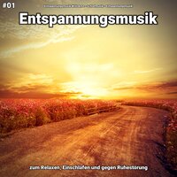 Klangspektrum gegen Schlafstörungen - Entspannungsmusik Willi Antz & Schlafmusik & Entspannungsmusik