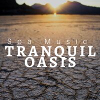 Mind Body and Spirit - Dreamless Nights & Sleep Help Ensemble & Sleep Help Ensemble & Dreamless Nights