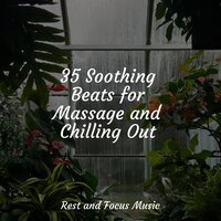 Rains of Pearls - Ambient Music Therapy & Studying Music & Meditação Maestro