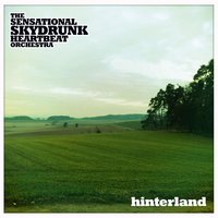 Grandpa - The Sensational Skydrunk Heartbeat Orchestra