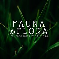 Música para Relaxar - Meditação Yoga Maestro