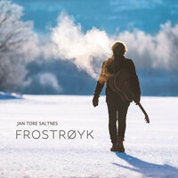 Pessimisten - Jan-Tore Saltnes