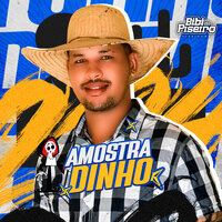Amostradinho - Bibi do Piseiro