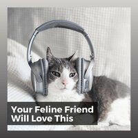 Famously Ambient, Pt. 6 - Cats Music Zone