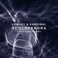 Scolopendra - Lowkey & Kardinal & Kardinal & Lowkey