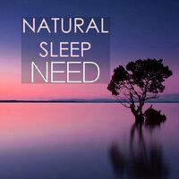 Peaceful Gentle Rain (Rainshower) - Natural Sleep Land