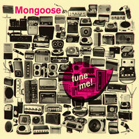 Favourite Flavour - Mongoose