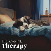 Sheltered Within the Sonic Canopy - Dog Music Waves